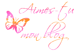 Aimes tu mon blog